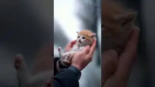 The Water Was Rising And He Was Trapped 🌧️😱 SafePaws AI &ndash; LifeSaver Animals