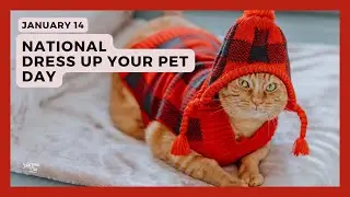 NATIONAL DRESS UP YOUR PET DAY - January 14
