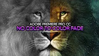 How To: No Color to Color Fade in Adobe Premiere Pro CC