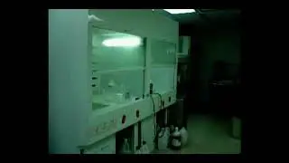 Video IMEN 1