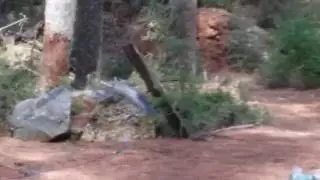 Sierra Blaster Training 