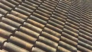 Soft washing a roof in Cape Coral