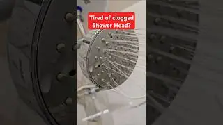 How to clean Shower Head | Tips & Tricks 23 | #shower #cleanshower #cloggedshower #cleantok #hack