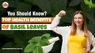 Top Health Benefits of Basil Leaves You Should Know | India At Home