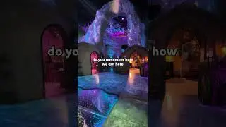 do you remember how we got here | Meow Wolf