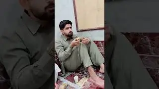 Babar azam,  Mohammad rizwan, safeer azam and naseem Shah's father..