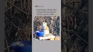 Drunk an high!!
