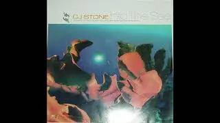 CJ Stone - Into The Sea (Green Court Remix) (2001)