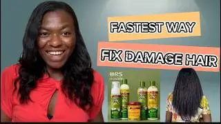 How to Fix Damaged Hair (TESTING VIRAL HAIR HACKS)