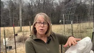 Protect Your Spring Seedlings with Garden Fleece