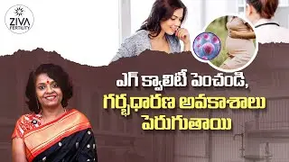 To improve the quality of eggs | Tips To Improve Egg Quality In Telugu | Dr C Suvarchala | Ziva F...