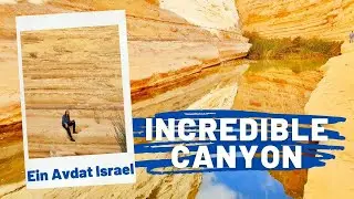 Incredible trip to Ein Avdat  during COVID | Israel  4k VLOG