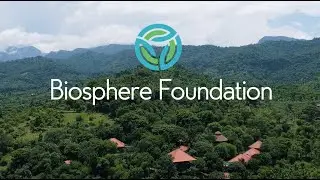 Biosphere Stewardship Center- Introduction