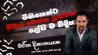⁨ජීවත් වෙන්න තියන ලේසිම විදිහ I @kibulge_katha⁩ - කිඹුලගේ කතා I charitha dissanayake I a/l chemistry