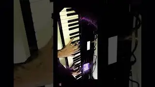 This is not guitar, it&rsquo;s CLAVINET with Chorus (really bright! 🤩) #shorts