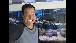 Aquaristas Vampiros - Aquashow - 363