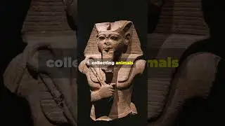 Weird Facts of Pharaohs - Ep 47 - Amenhotep III, Thutmose III, Sneferu   #weird #facts #egyptian