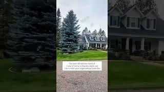 You move 20 minutes north of CDA to Hayden Idaho and this is what your neighborhood looks like...
