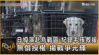 日導演赴烏戰區 紀錄毛孩救援 無償授權 揚戰爭光輝｜方念華｜FOCUS全球新聞20260130 @TVBSNEWS01