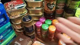 CITY PREPPING UK: Prepping Food Haul (ALDI)👍