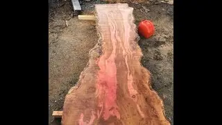 Sawmilling a London Plane Tree, Pink Hardwood!
