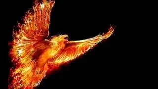 Luxury Traveller - eagle will rise again