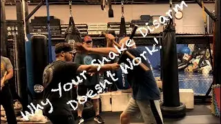 Why Your Snake Disarm Doesn&rsquo;t Work! &mdash; IFA Academy - Kali Stick Fighting Training in Austin TX