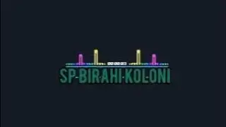 Sp. Birahi koloni . mantap