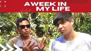 A week in my life as a Cameraman | Topdad Madison