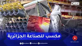 شعبة الحديد والصلب.. شعبة واعدة بإمكانيات تصديرية تفوق المليار خلال سنتين