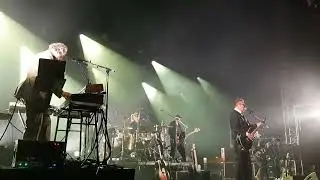 Daan. Live op Manifiesta 2025
