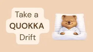 Quokka Drift Time &ndash; A Quiet Forest (Guided Imagery)