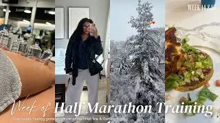 Half Marathon Training Weeks 14 & 15 | Getting Faster Before Race Day