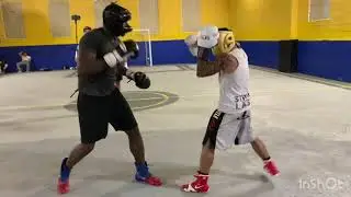 🥊BOXING - TrueFlow VS HEAVYWEIGHTS!! (Vol. 1)