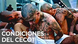 Inside CECOT, the largest prison in Latin America | Full Documentary in Spanish