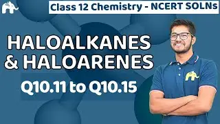 Haloalkanes and Haloarenes Class 12 Chemistry | Chapter 10 Ncert Solutions Questions 11-15
