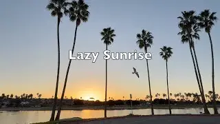 Lazy Sunrise