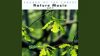 Sleepy Islands of Natural Voices for Deep Sleep pt. 1 (feat. Dog Radio 1, Brown Noise Radio &...