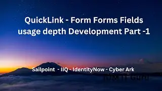 Quick Link - Forms Fields  depth development #sailpoint #forms