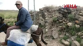 Mahir Amca Kaymakama Selam Gönderdi; yağmur yok, otlar kurudu, mağduruz