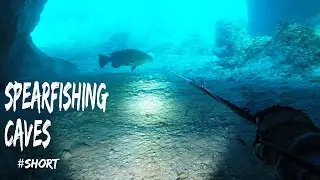 ЛУЧШЕЕ ПОГРУЖЕНИЕ ВСЕХ ВРЕМЁН! | Охота на групера в ПЕЩЕРЕ! #шорты