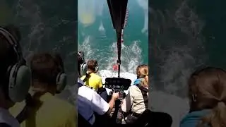 This pilot made a massive mistake! #aviation