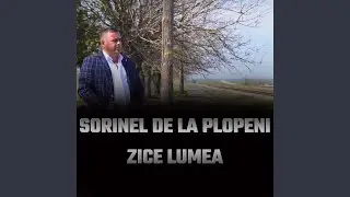 Instrumentala Belea