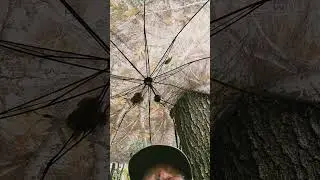 Thank Goodness I Chose The One Stand With An Umbrella