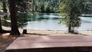 REVIEWING EACH CAMPSITE @ Scout Lake Campground + EPIC Day Use Area! | Deschutes Central Oregon | 4K