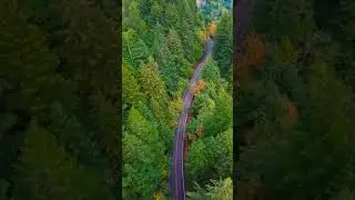 Road | Drone Shot | Nature | nature whatsapp status video| travel | Greenery