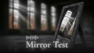 MIRROR TEST (Official Audio) | Discipline of the Elect
