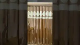 Davidoff Limited Collection Signature No.1 unveiling