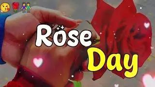Rose 🌹 Day Status 2026 || Happy Rose Day 😘 Whatsapp Status 2026 || Rose Day Special Status &hearts;️ || 