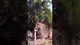 Jangan REMEH kan Senapan lantak Dayak..